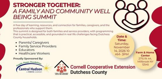 2026 CCEDC FCE Stronger Together Summit Header