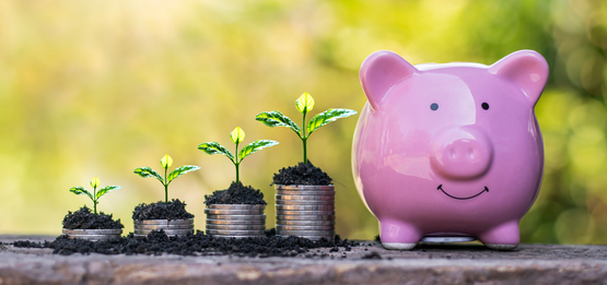 Financial Growth