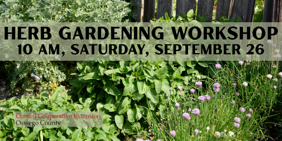 Herb Gardening