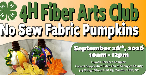 4-H Fiber Arts Banner No Sew Pumpkins
