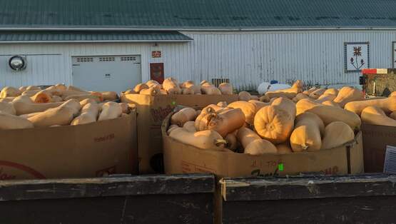 Farm to School