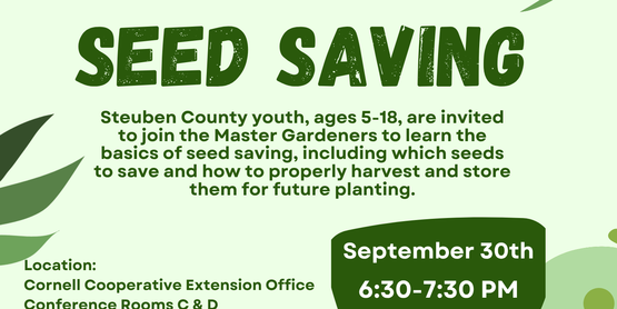 Jr. Gardeners' Seed Saving