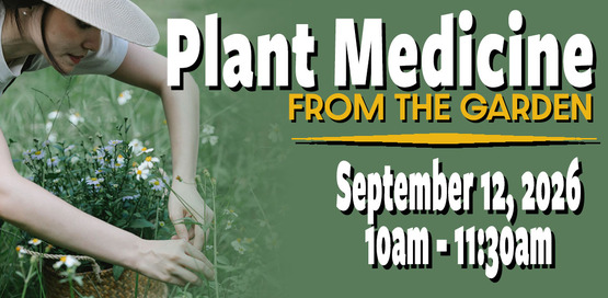 Plant Medicine Banner