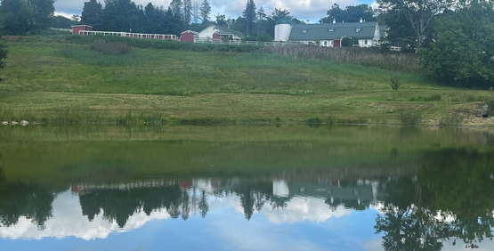 tilly Foster Farm pond