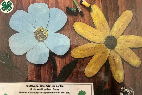 Art in the garden