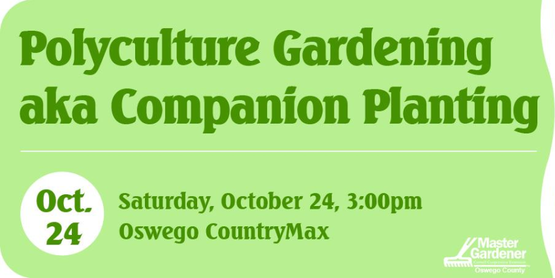 Companion Planting