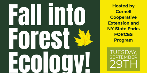 Fall into Field Ecology 9.29.26