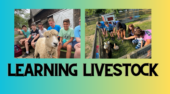 Learning Livestock
