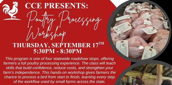 Poultry Processing Workshop 2026 flyer