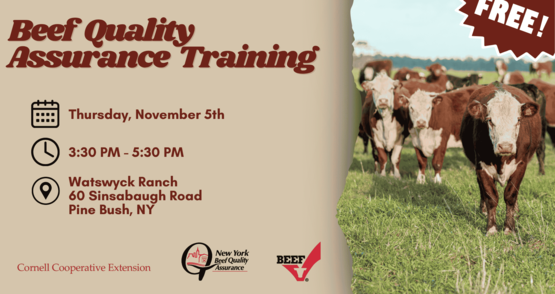 Beef Quality Assurance Training