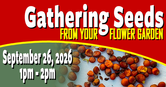 Gathering Seeds 2026