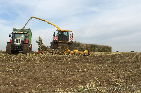 Tractor corn silage