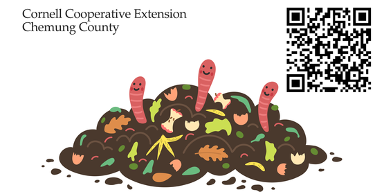 Composting for Beginners 10.10.26