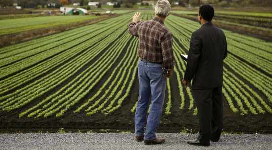 Leading the Farm Team: Supervisory Skills for New Managers 
