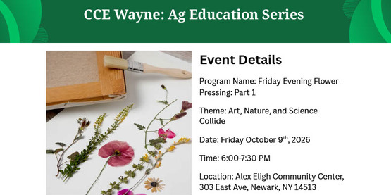 Do you love all things flowers?  Register to attend this free 2 part flower pressing class by scanning the QR code or clicking on this link https://reg.cce.cornell.edu/FlowerPressing_254
Ag educator, Josh Bowman, will discuss plant identification techniques and teach the art of flower pressing.  All materials are provided, but feel free to bring your favorite flowers from home. 
The class will be held in Newark at the Alex Eligh Community Center, 303 East Ave. 