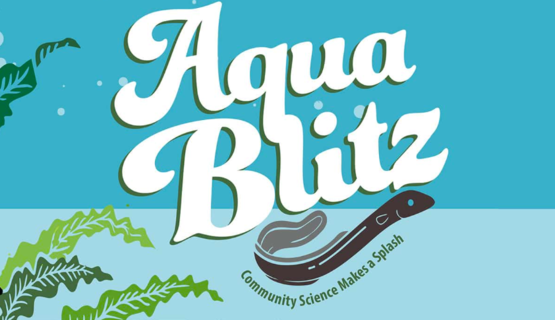 Aqua Blitz Header