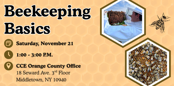 bees