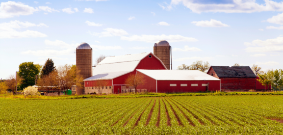 farm