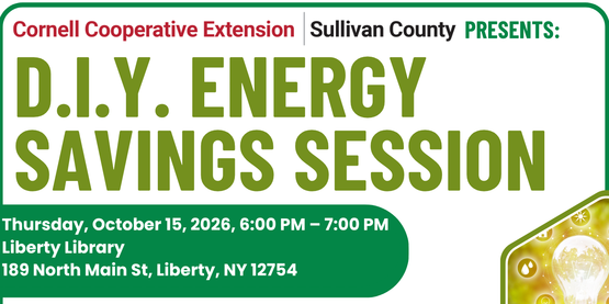 DIY Energy Savings Session 10.15.26