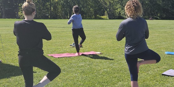 Yoga in the park Walton NY