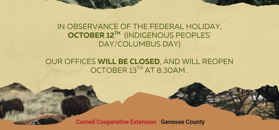 holiday closure 4