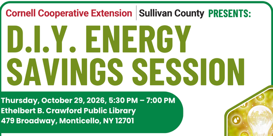 D.I.Y. Energy Savings Session Flyer 10.29.2026