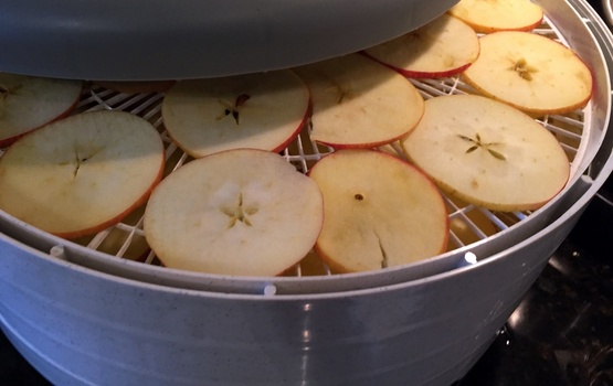 Picture of sliced apples loaded into a food dehydrator