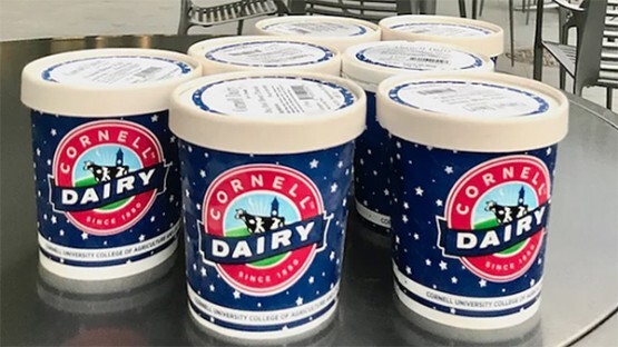 Cornell Dairy Ice Cream
