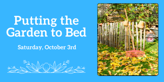 Putting the Garden to Bed
Saturday, October 3rd