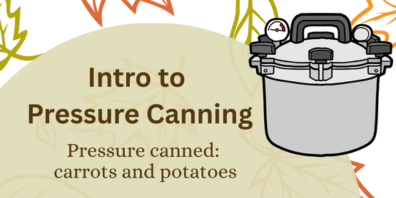 Into to Pressure Canning - Carrots and Potatoes