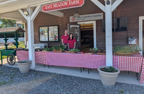 emf farm stand pic