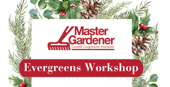Evergreens Workshop banner 