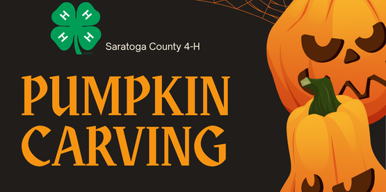 Pumpkin Curving Night