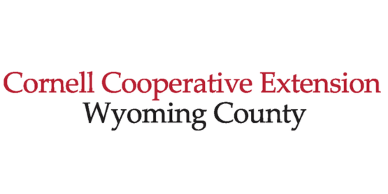 CCE Wyo logo 2:1 ratio