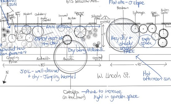 A drawn demonstration garden map