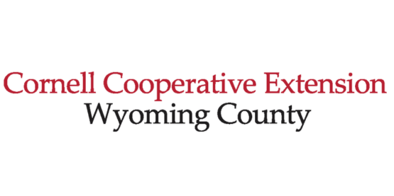 CCE Wyo logo 2:1 ratio