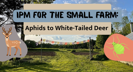 BANNER IPM on small farm