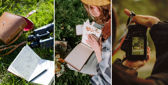 Nature Journaling 