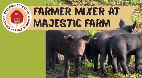 BANNER Majestic Farm FM