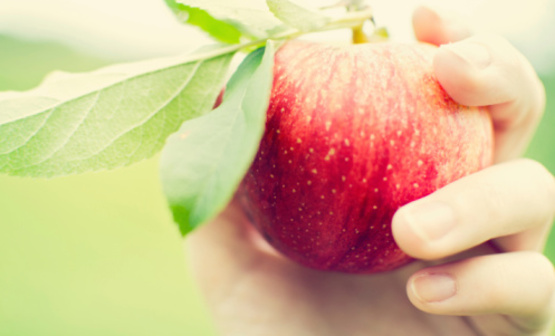 apple picking