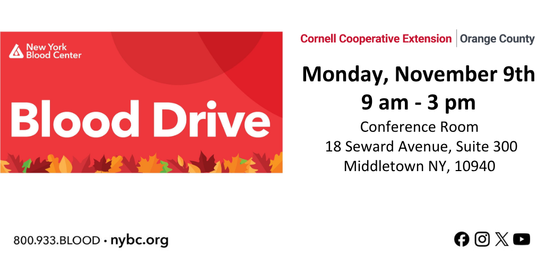 blood drive