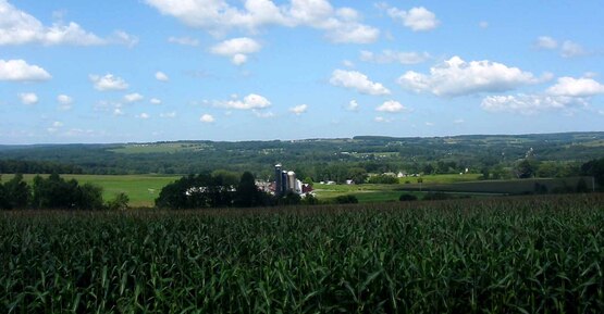 Farmland in Dryden NY