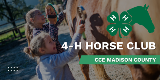 Horse Club Banner