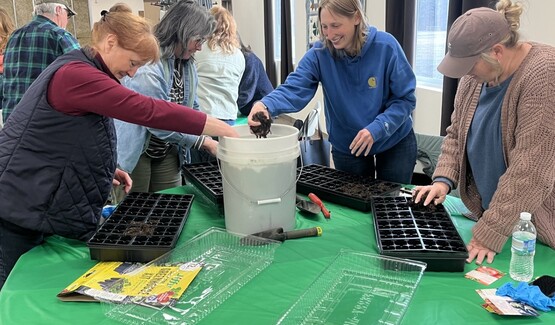 master gardeners