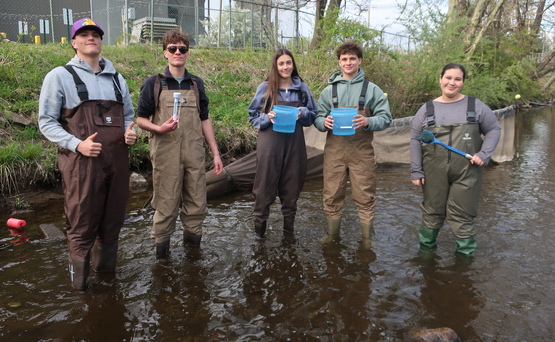 Eel monitoring 2025