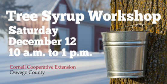 Tree Syrup