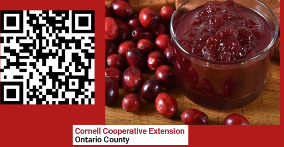 Cranberry Sauce Workshop