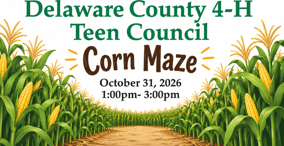 teen corn maze