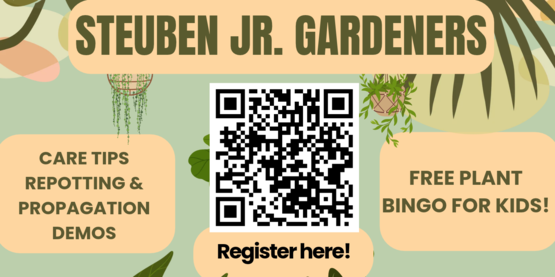 Learn about Houseplants!
