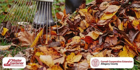 fall gardening